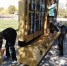 Жители района приняли участие в субботнике "Зелёная Россия" - Никифоровский район