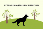 Отлов безнадзорных животных!